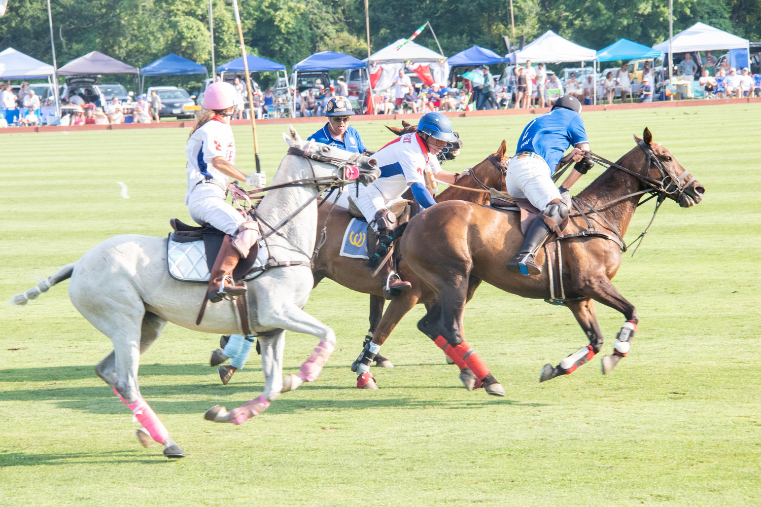 newport polo