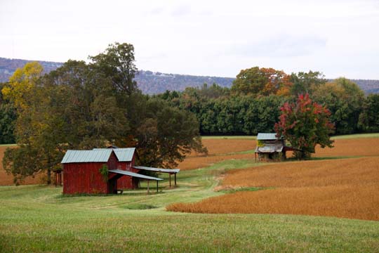 landscapes south- north carolina