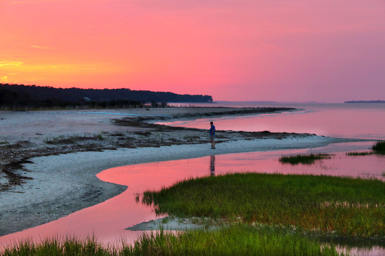 pink skies on fish haul