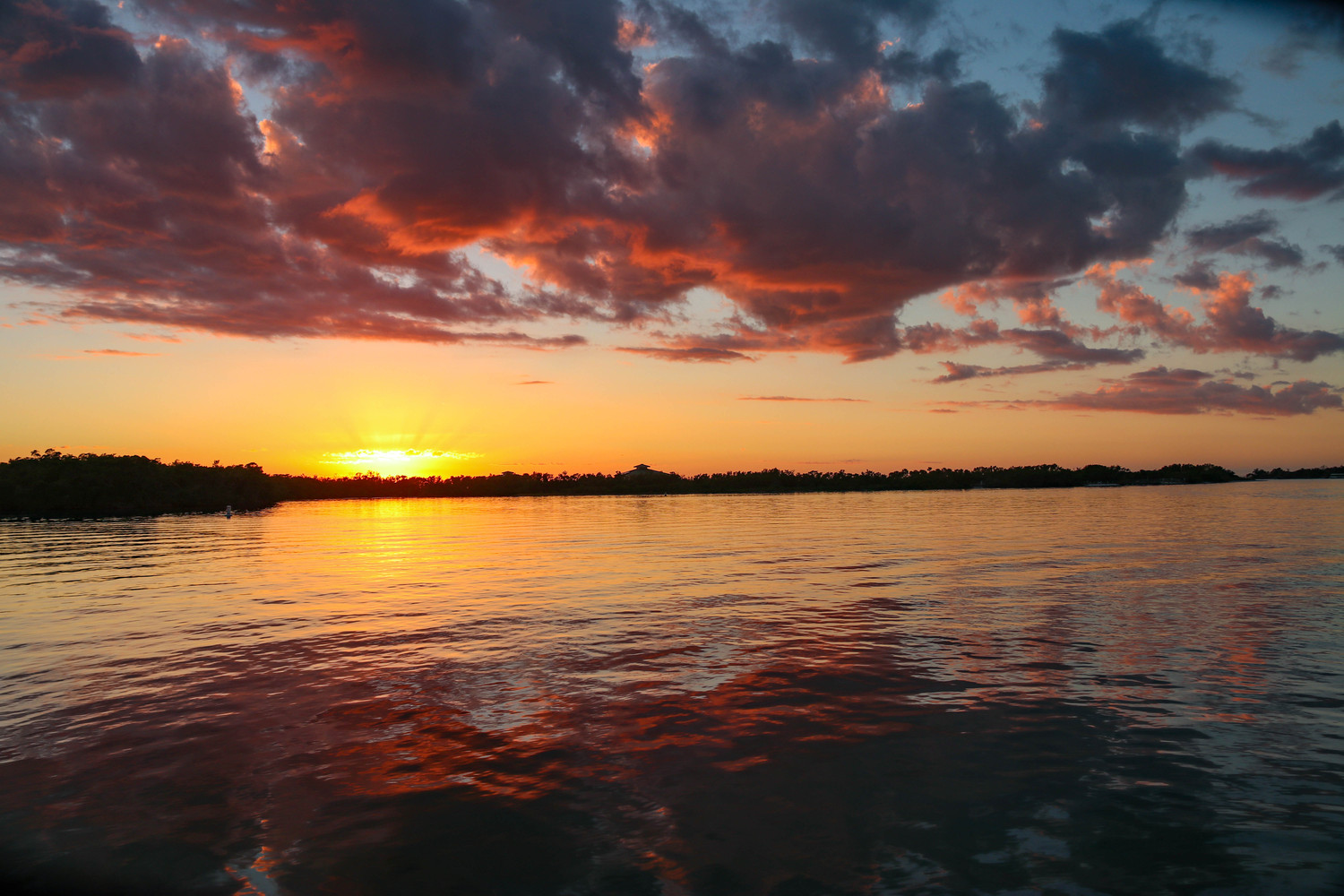 Florida sunset