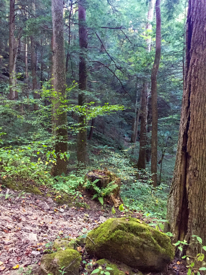 Hocking Hills 3