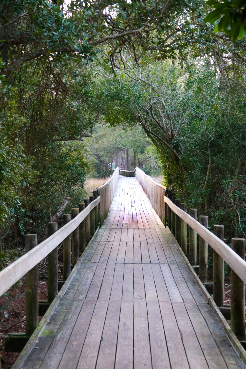 bradley boardwalk