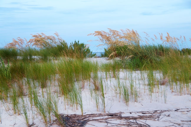 the little hill of seaoats_054