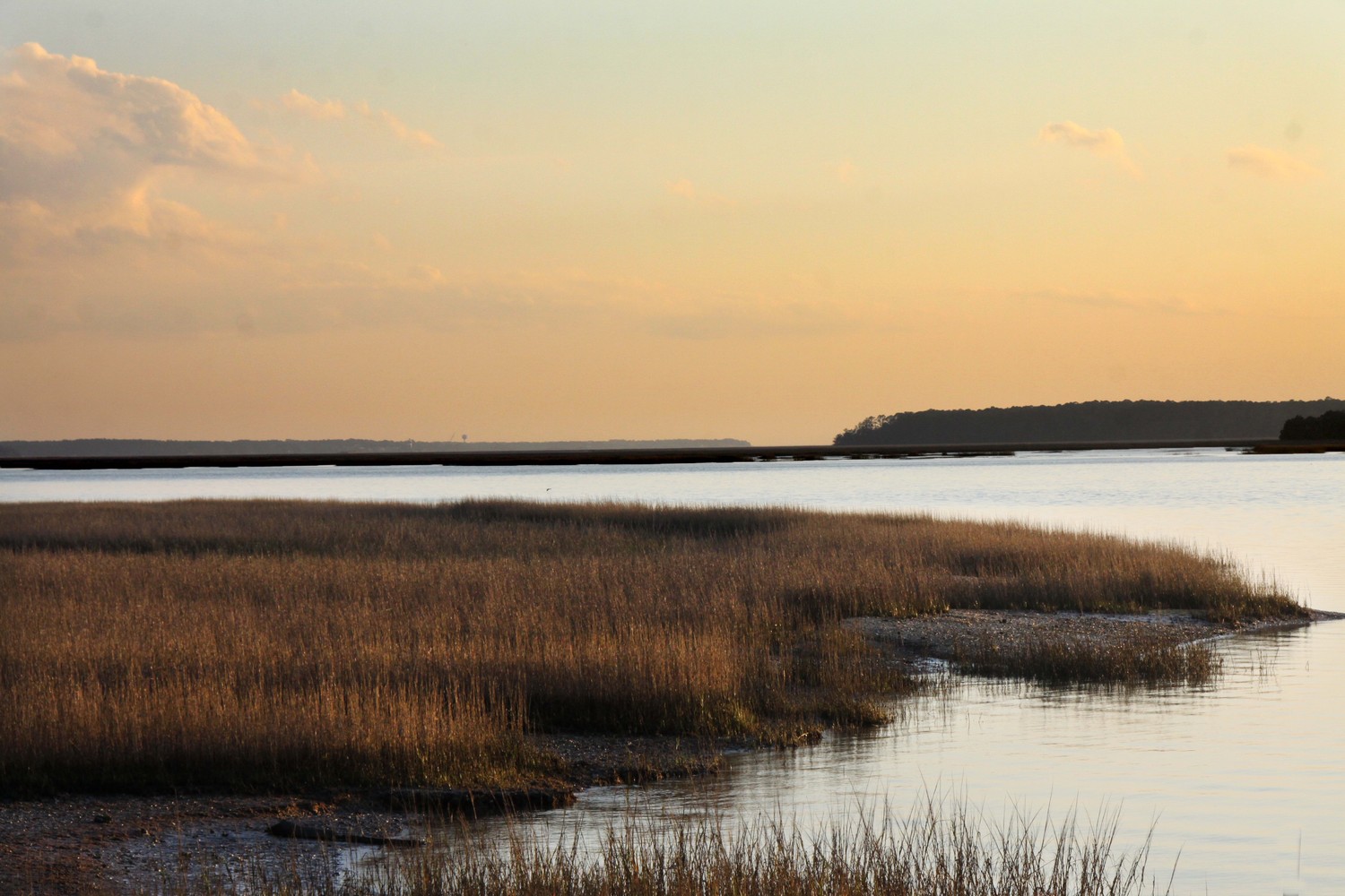 where creek meets the ocean