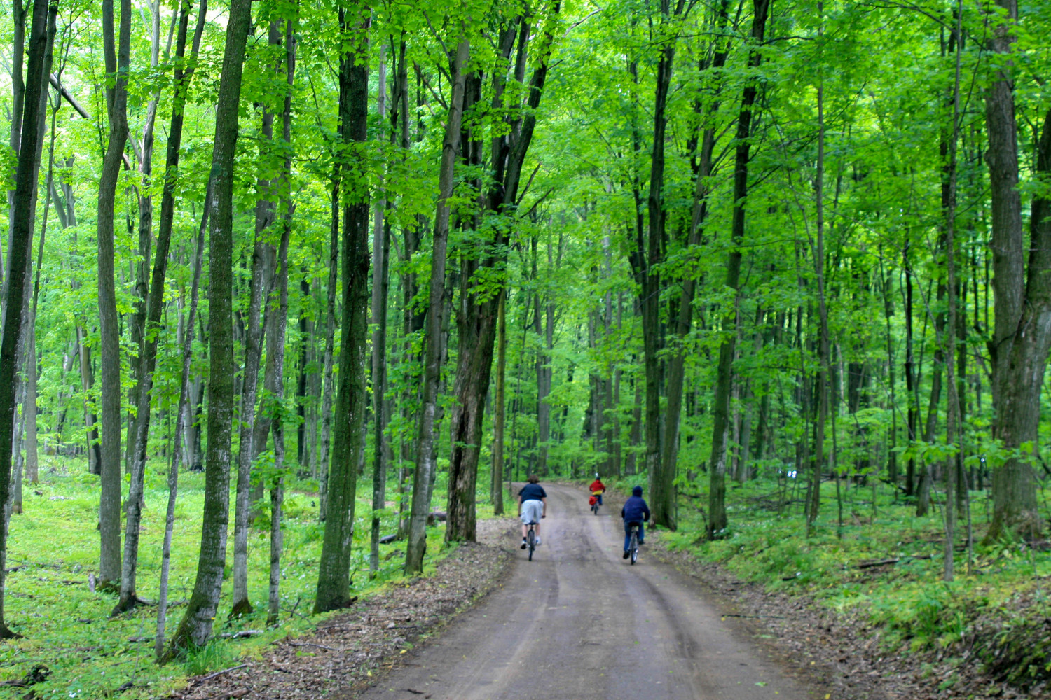 up near Torch Lake