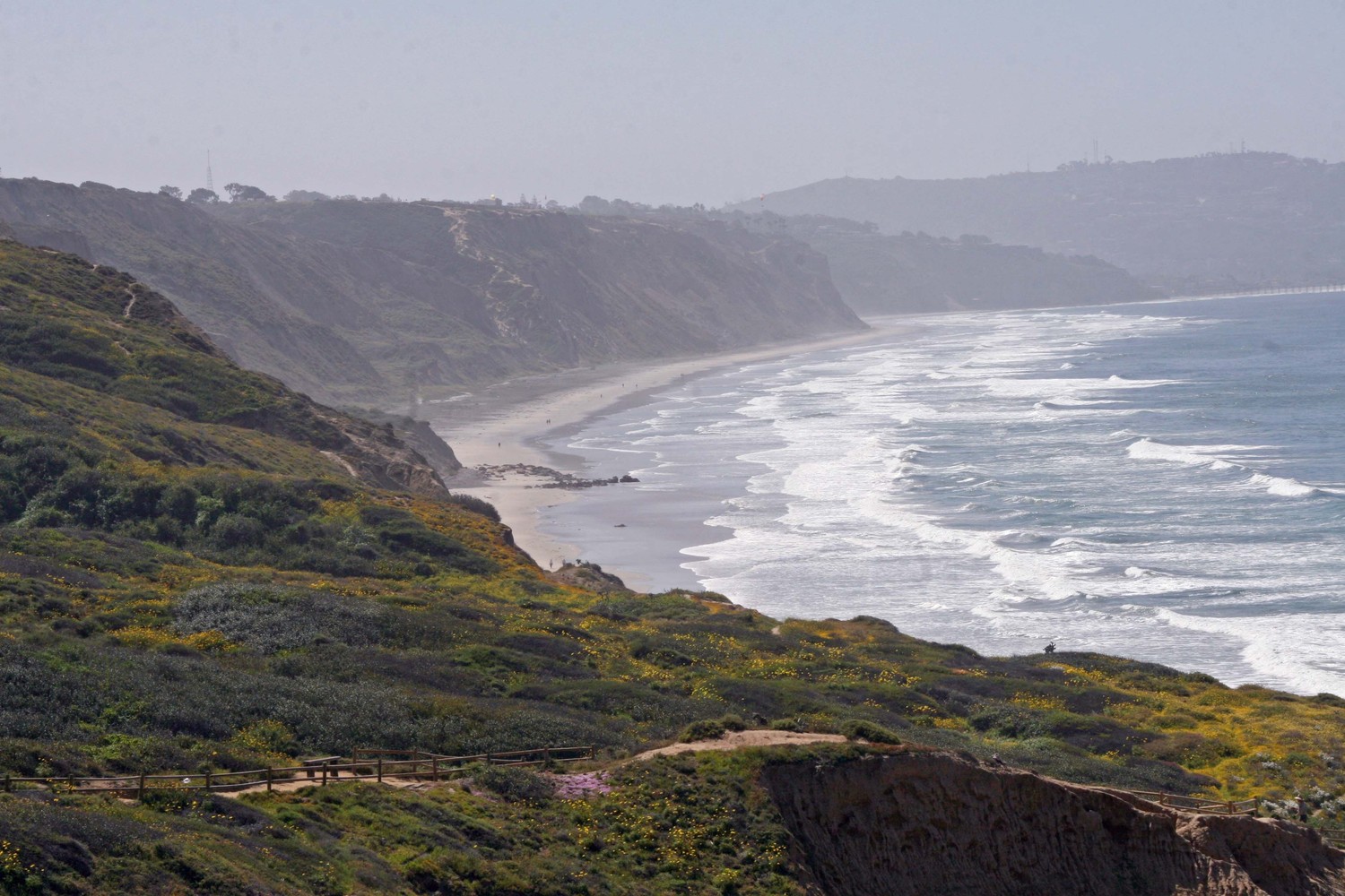 Torrey Pines