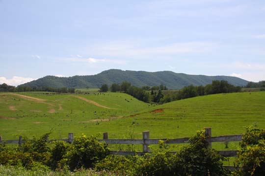 va_Hillside_ 075