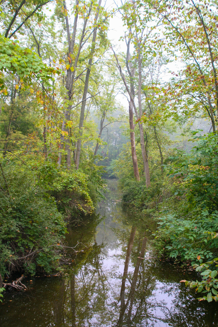 creek near Delhi