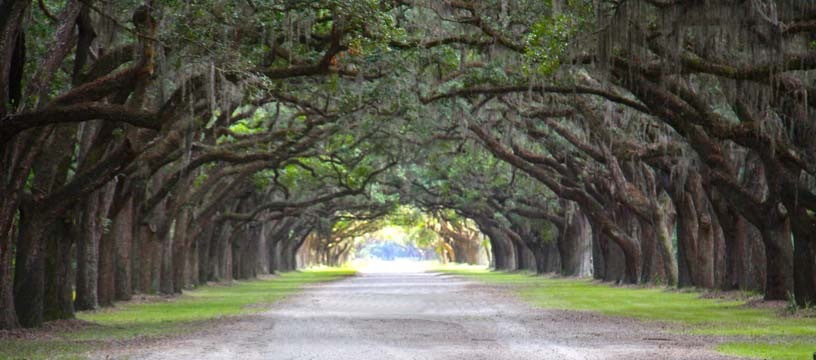 Wormsloe plantation