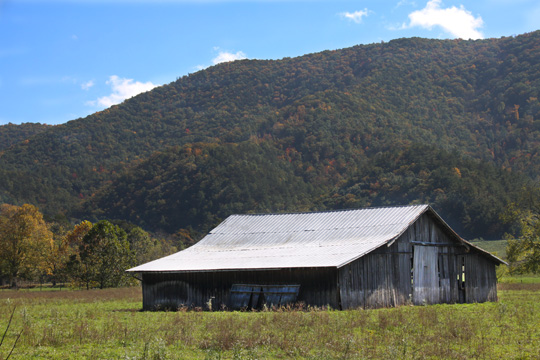 landscape gallery_ north carolina