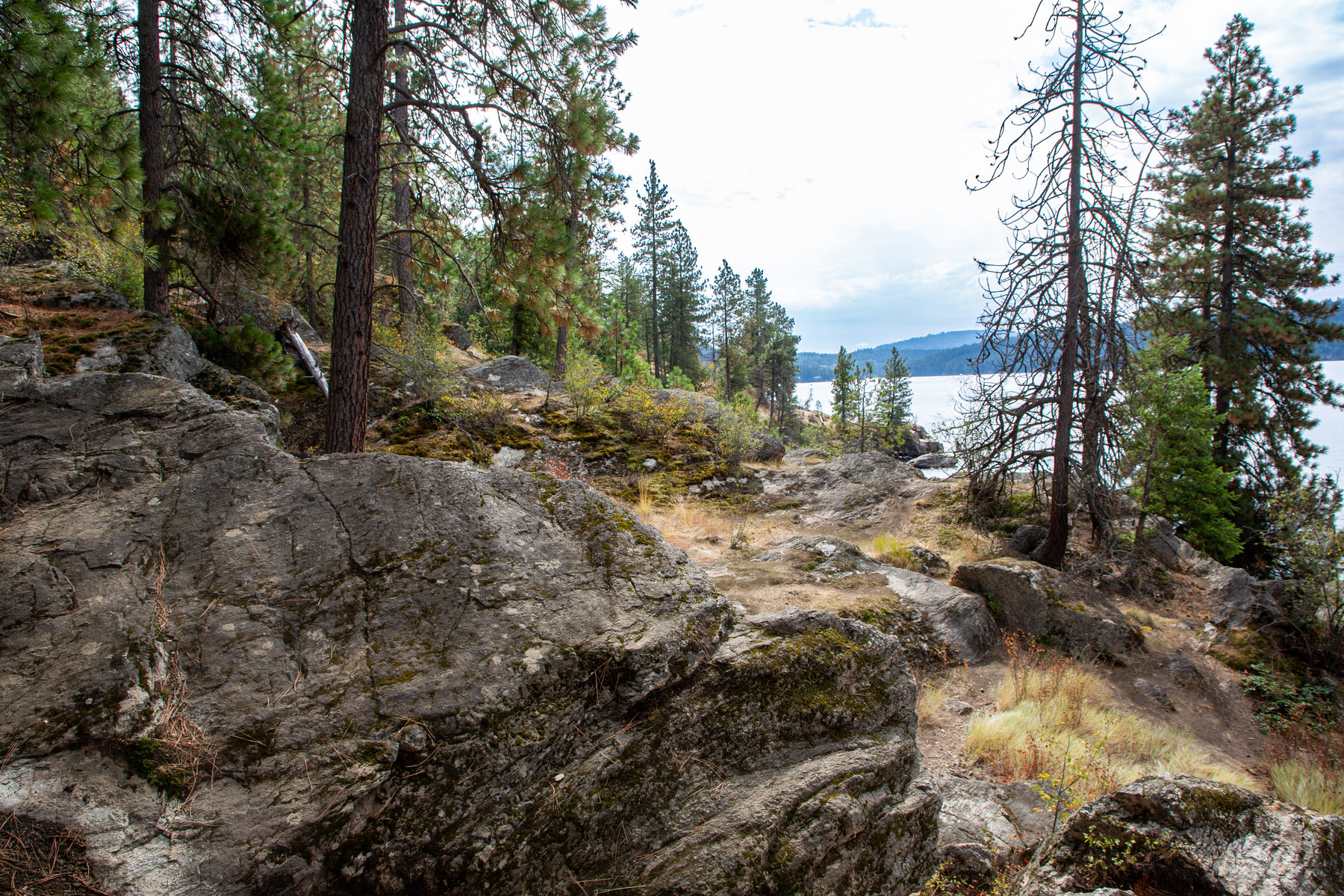 rocky hillside