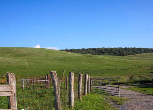 _va_farm field_ 124.