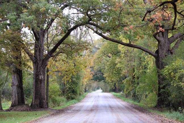 Stein Road