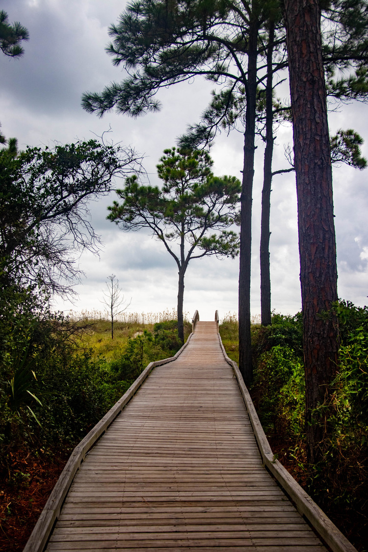 Out to the beach 0754