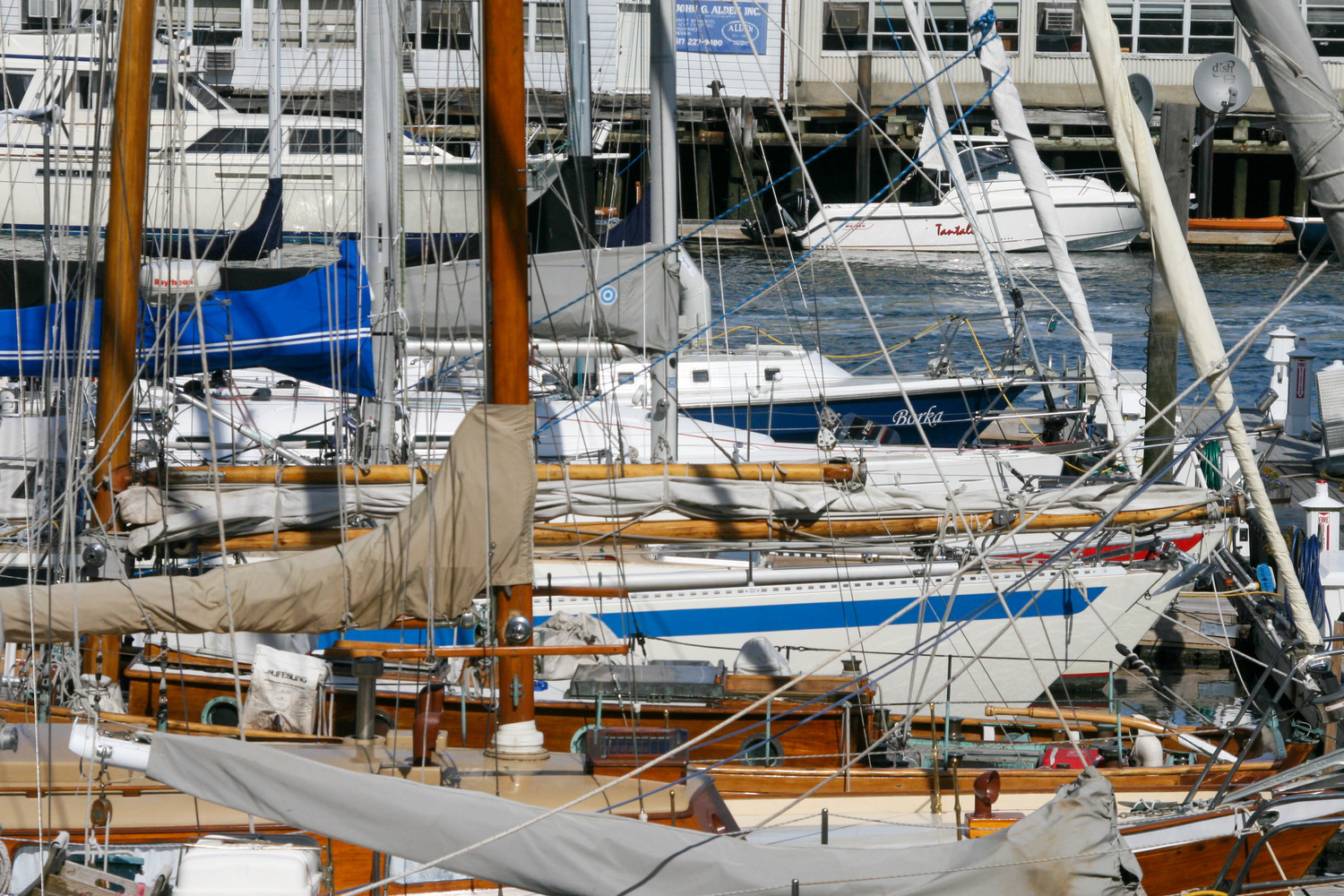 moored boats