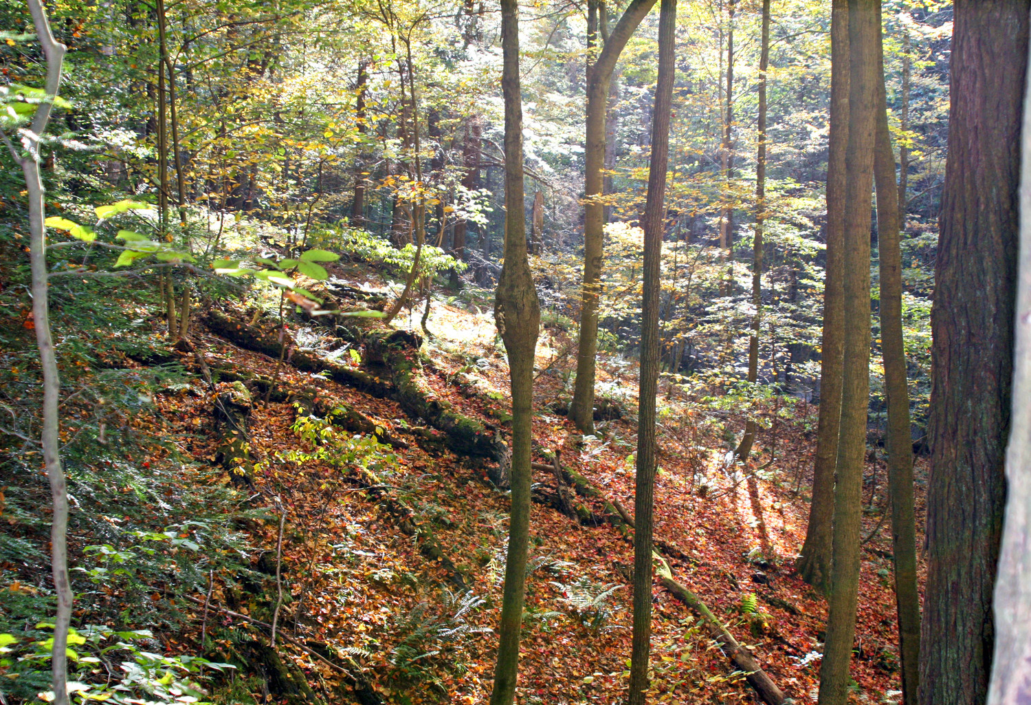 Hocking Hills 2