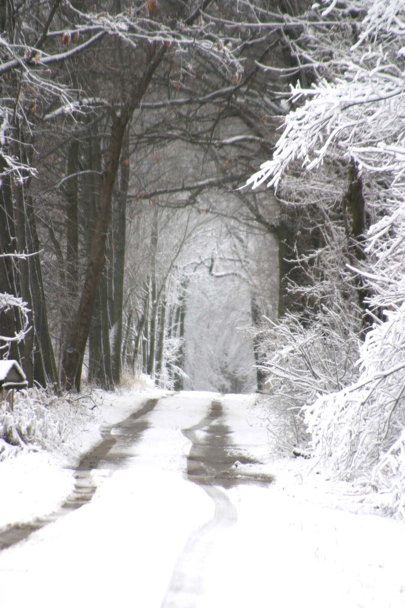 Miller Road snowfall