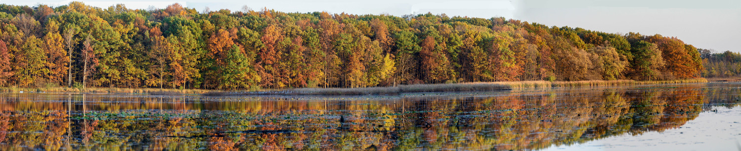 Near Battle Creek