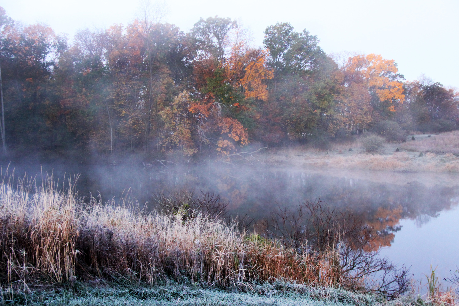 early morning on Stein