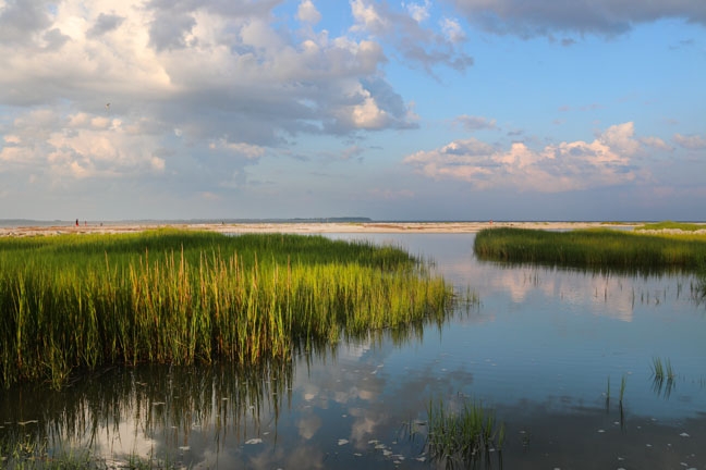 the clouds in the marsh_032