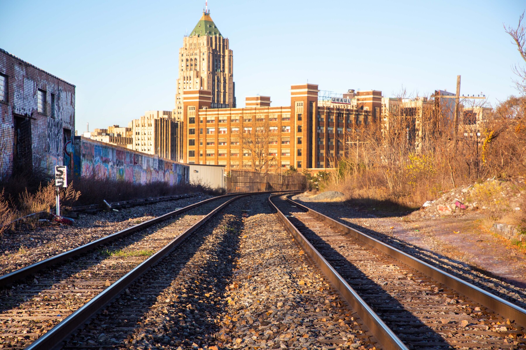 the tracks in the D