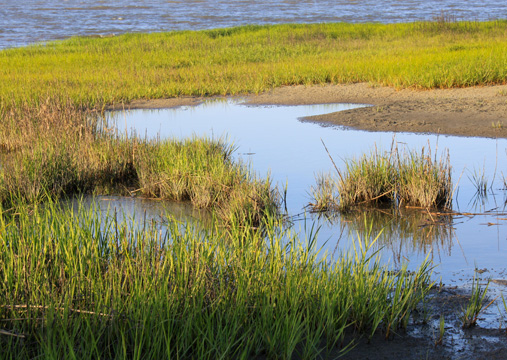 landscape south gallery