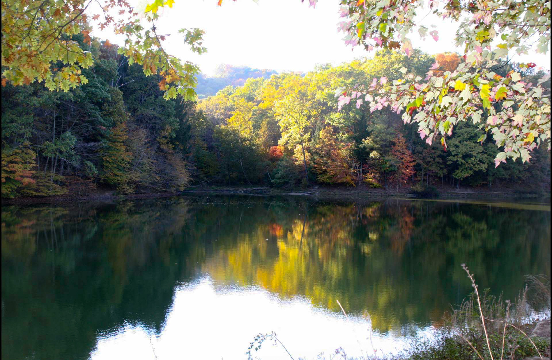 Stowe Lake