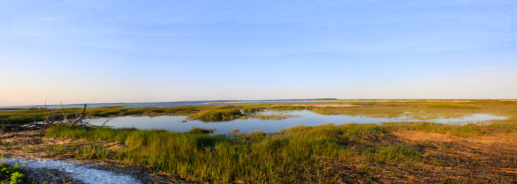 landscape south gallery