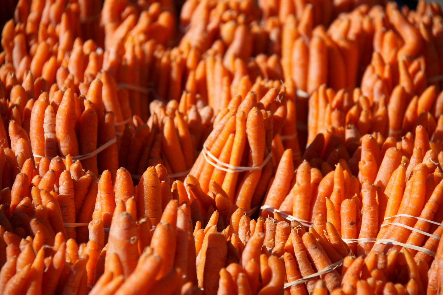 carrots