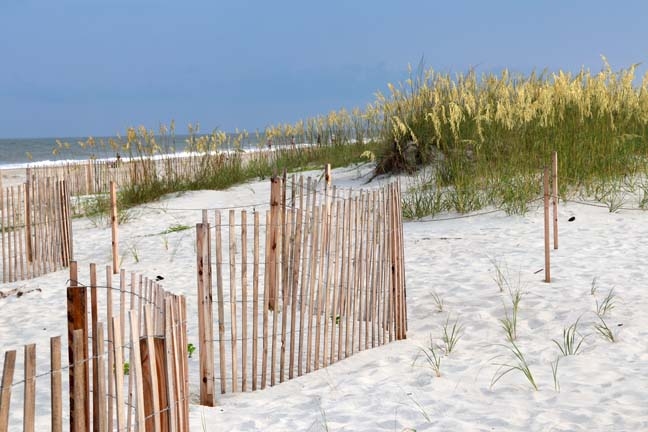 dune fences_008