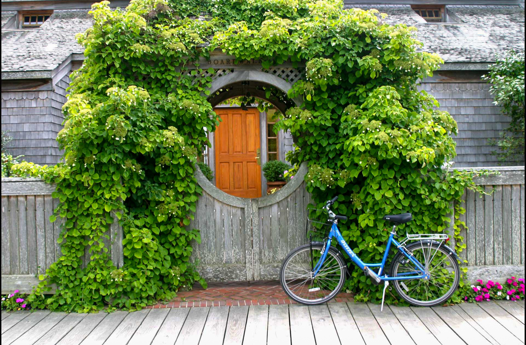 Bicycle on Mackinaw