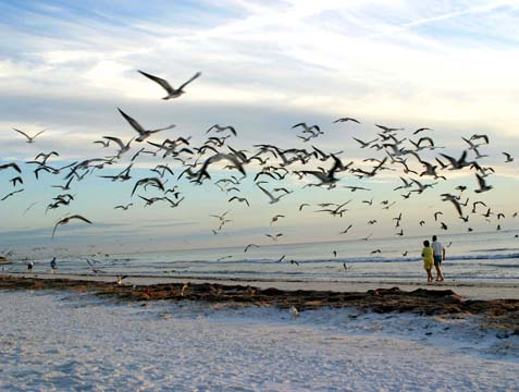 fl_Siesta Beach_0096