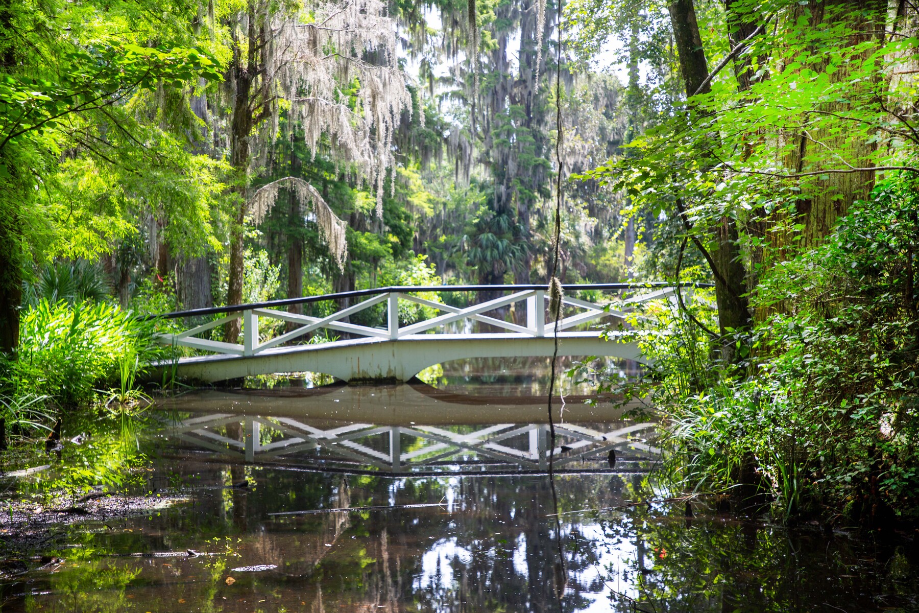 white bridge