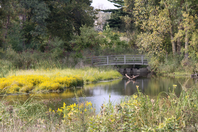 mi_on goldenrod pond_008