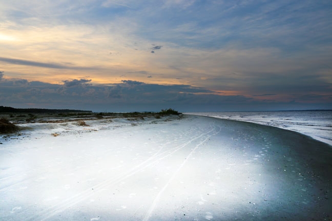 walking the beach_023