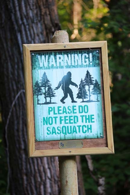 sasquatch_013