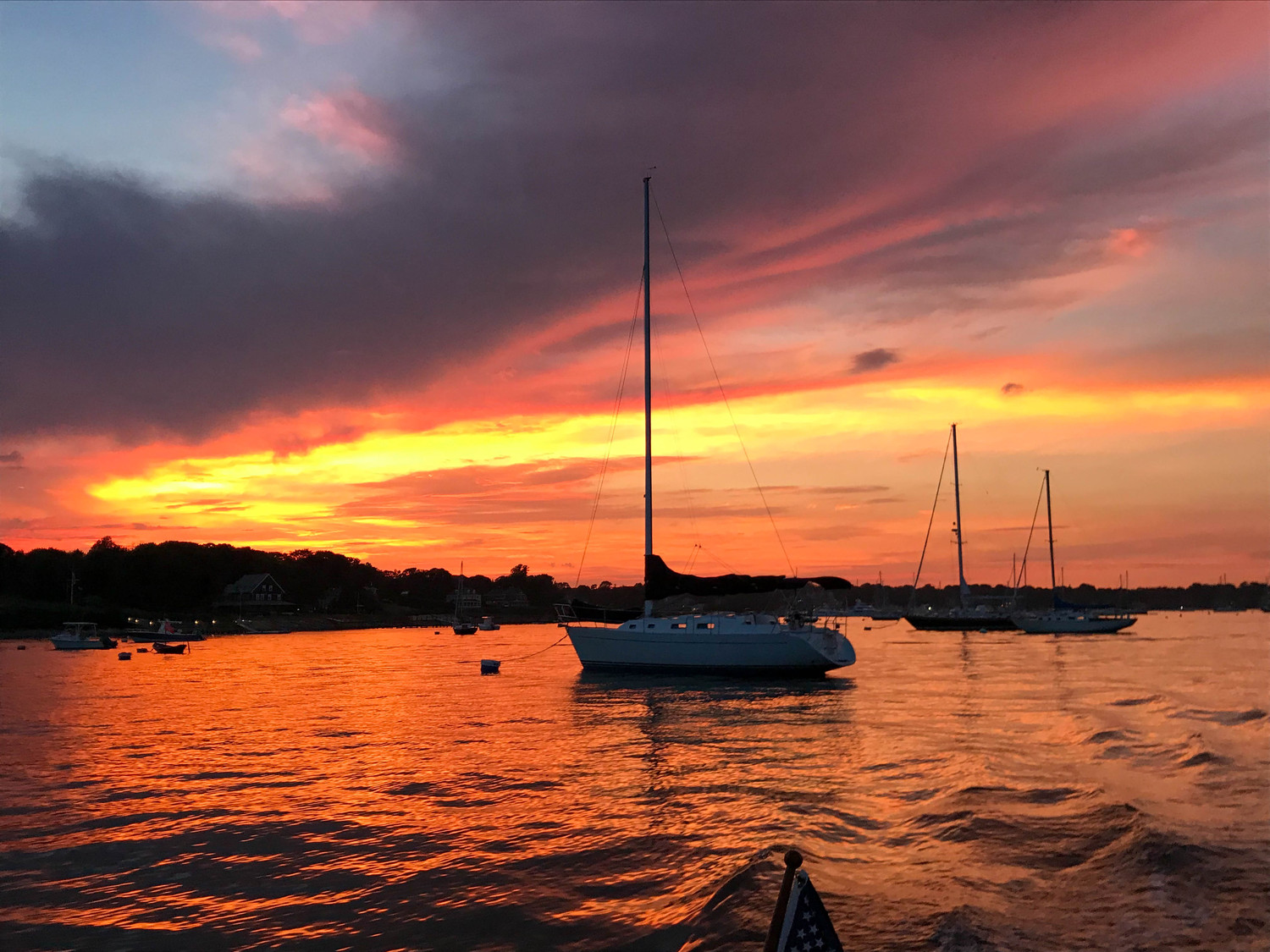 Newport sailboat in the sunset I