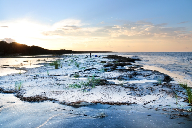 where creek meets ocean_045