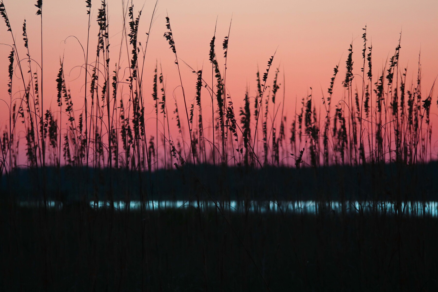 sunset in seaoats