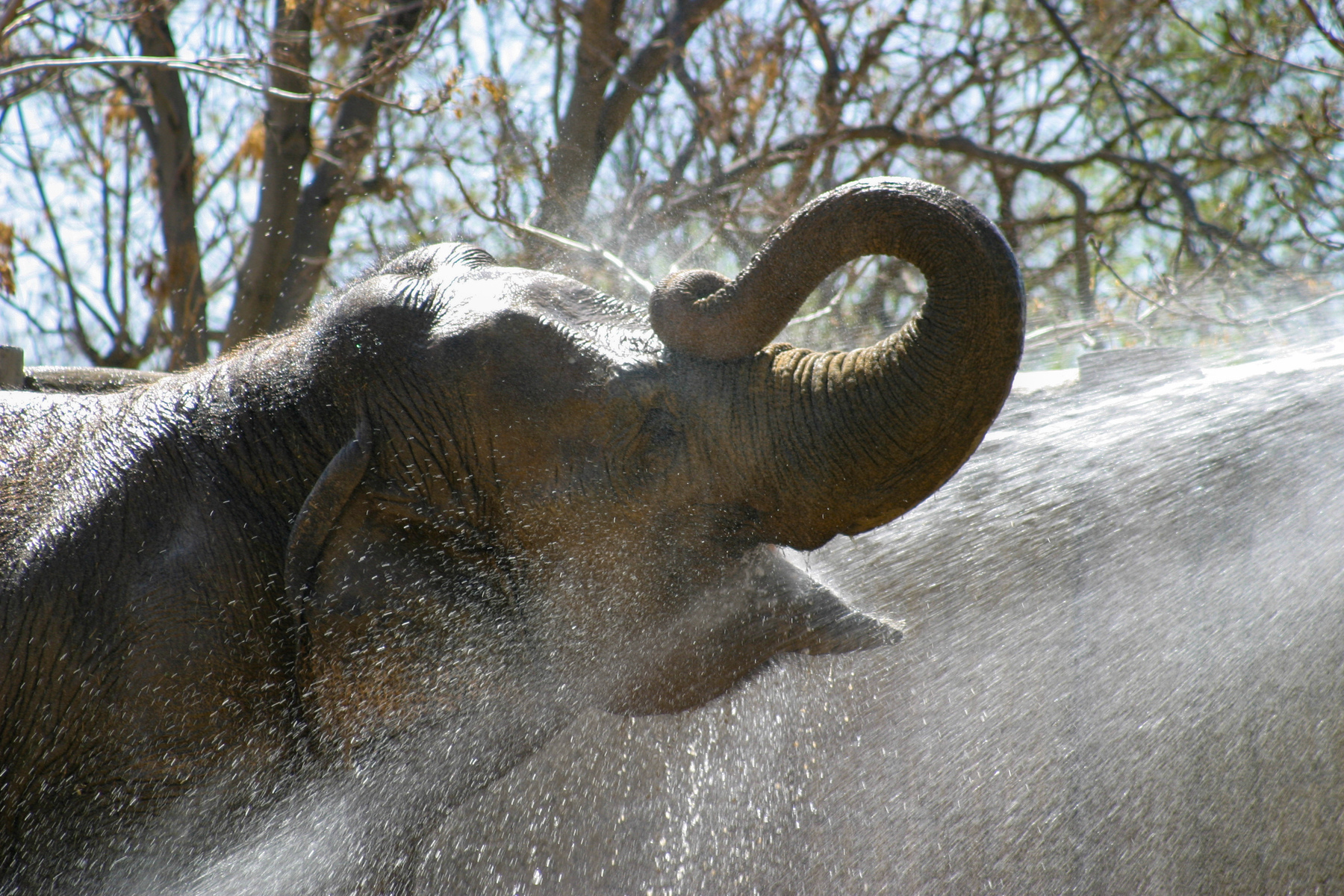 bath time