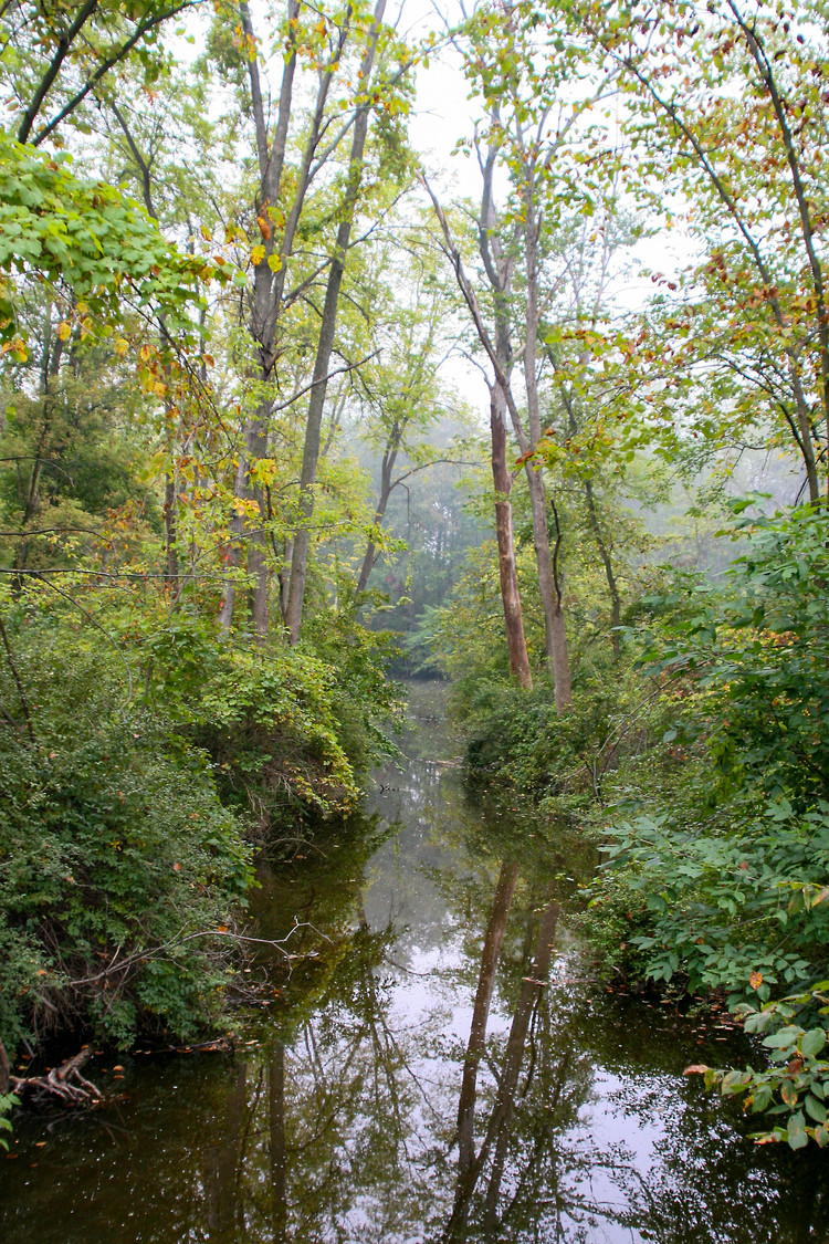 Boyston creek