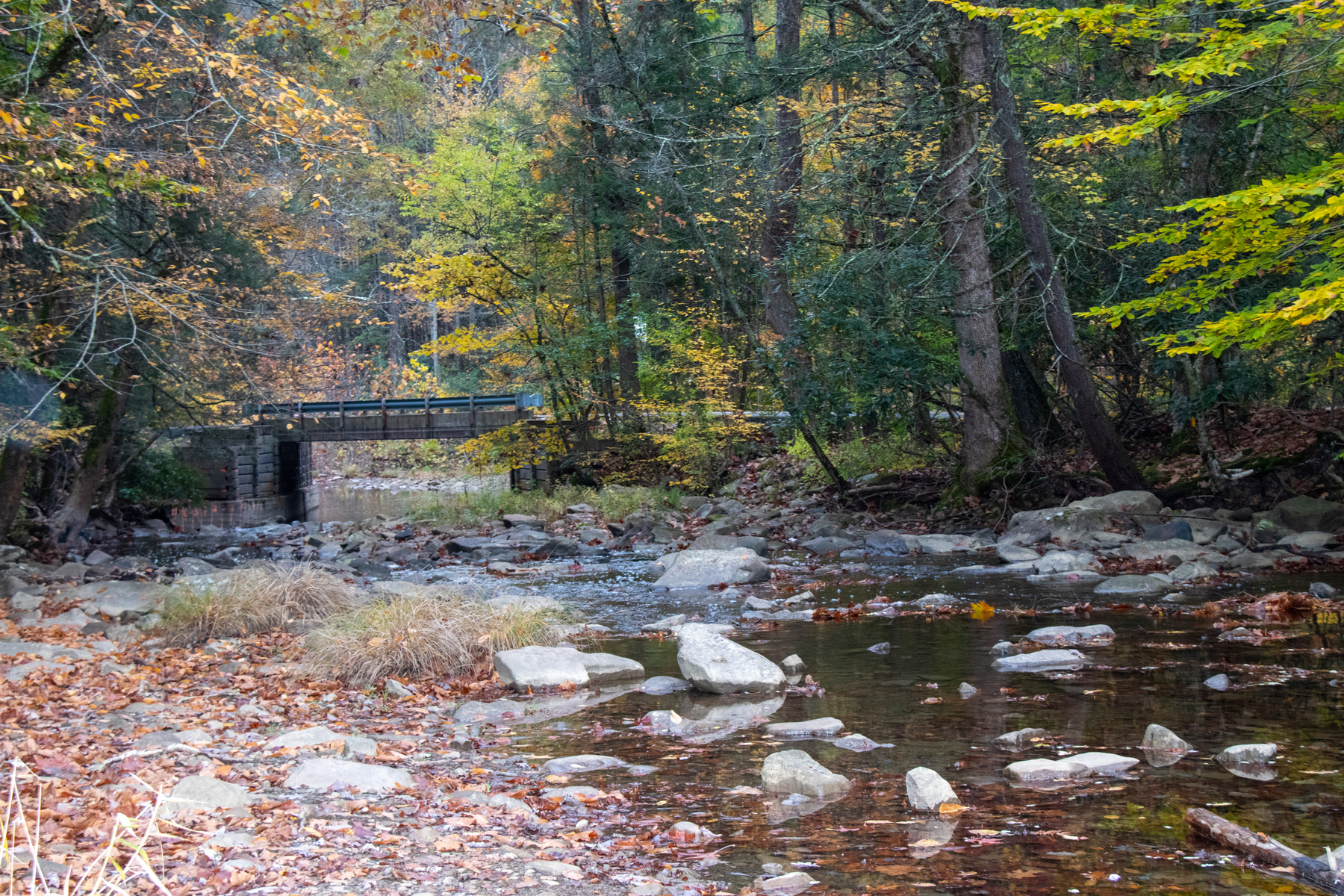 river in North Carolina