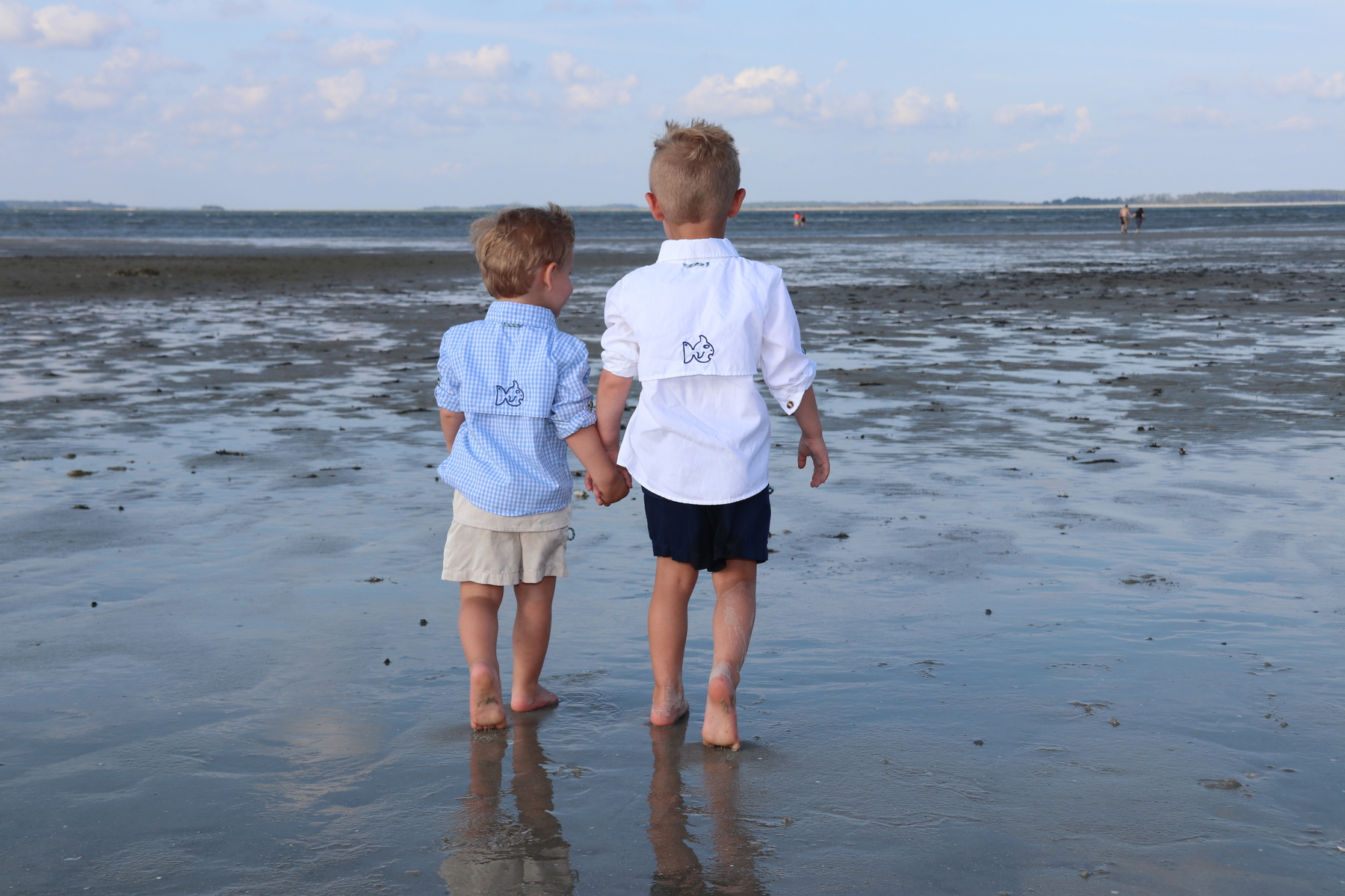 brothers looking for sharks