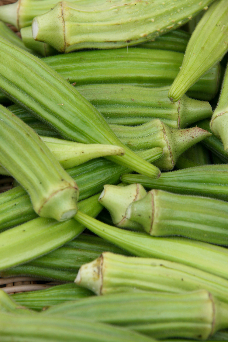 okra