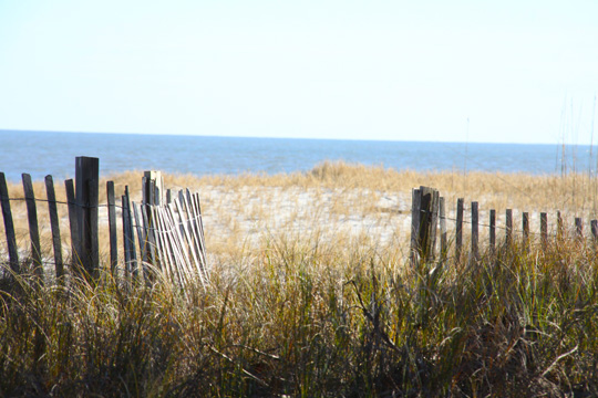 sc_to the beach_364