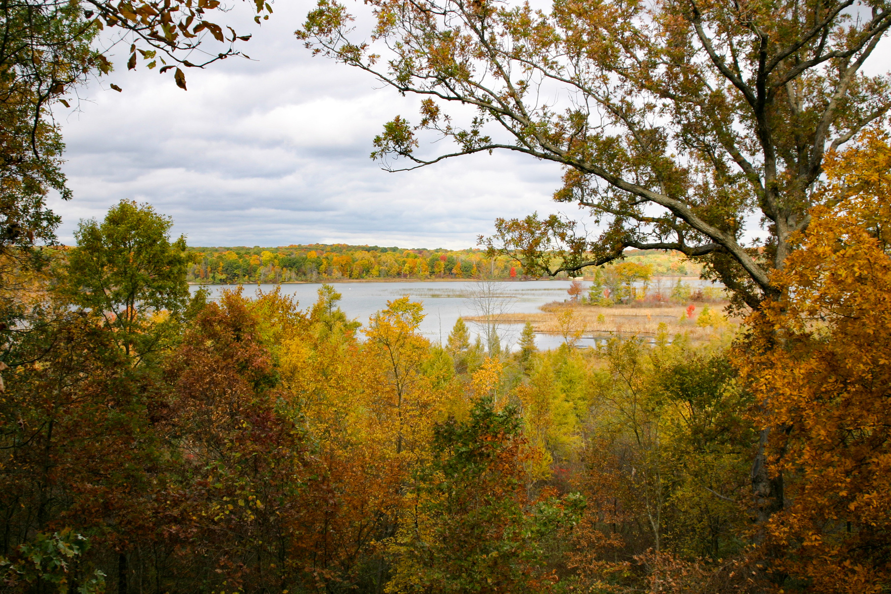 Chelsea overlooking silver lake