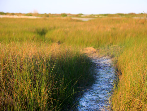 landscape south gallery