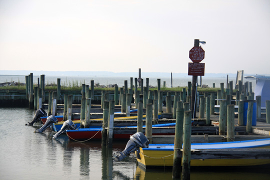 landscape east gallery