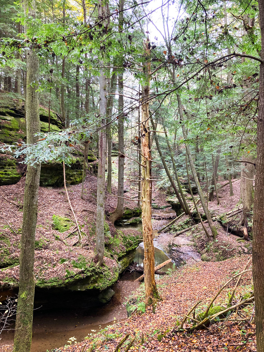 around the bend at Hocking Hills