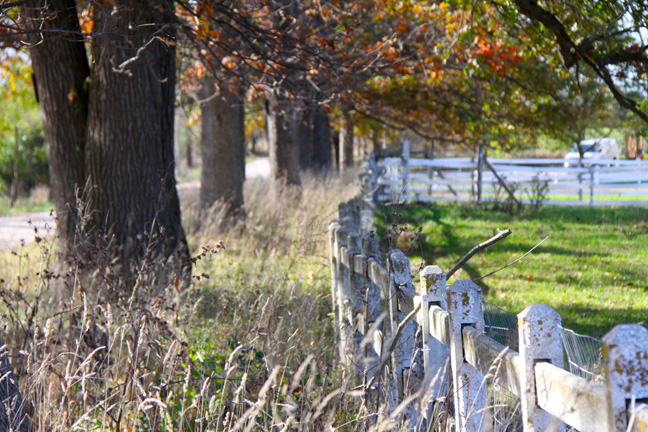 Landscape Gallery/Michigan